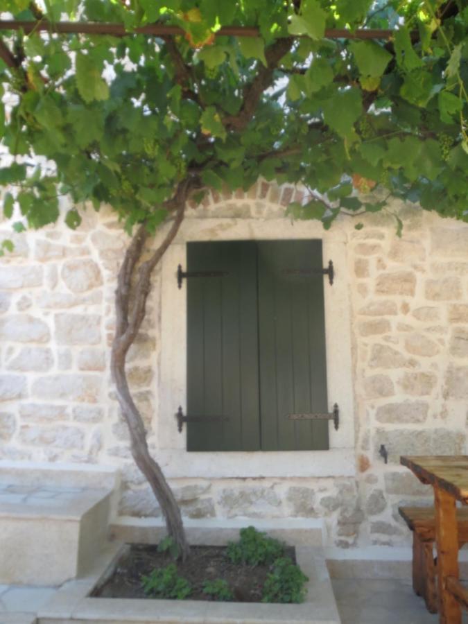 Villa Zita *